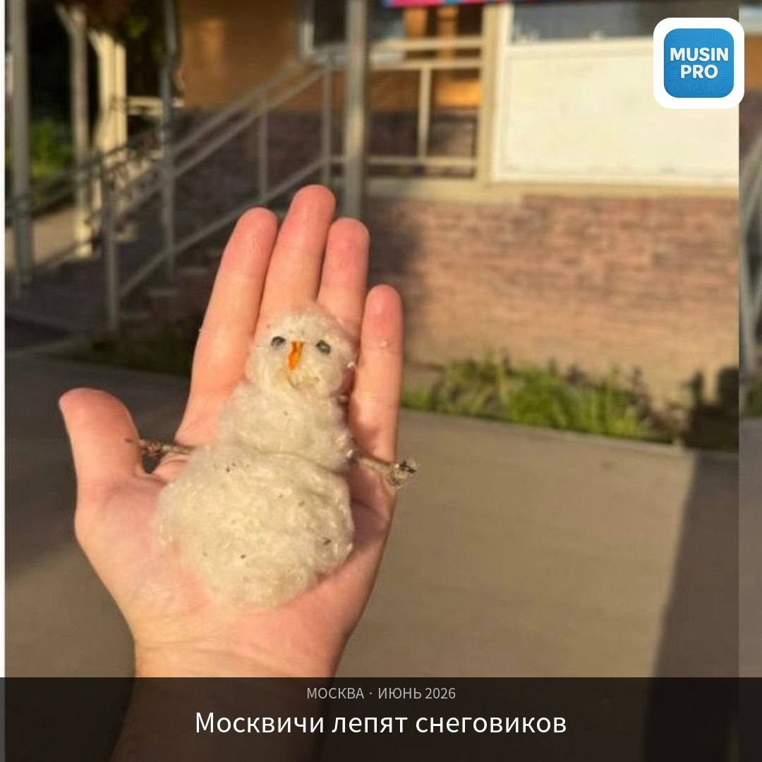 🧸 Июнь в Москве. +25. Москвичи лепят пуховиков. Не снеговиков — пуховиков. Мале